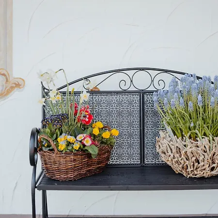 Alpenhof Westerbuchberg Hotel Übersee