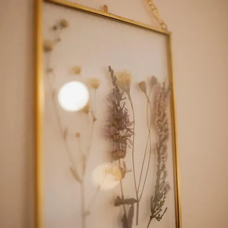 Alpenhof Westerbuchberg *